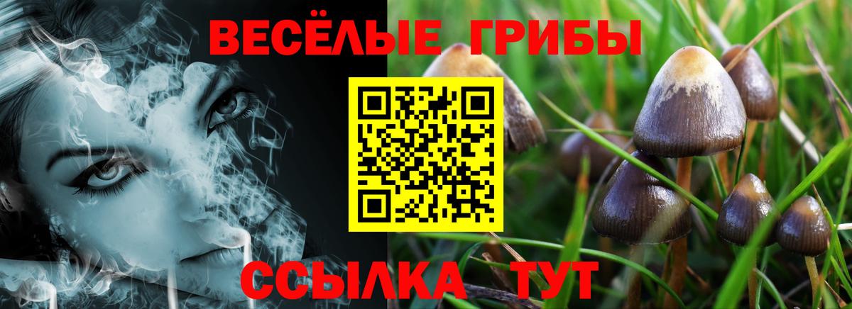 Галлюциногенные грибы мицелий  Псилоцибиновые грибы мицелий  Вход с VPN  Грозный 